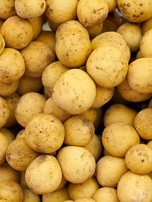 Pommes de terre Le verger des P'tits Délices